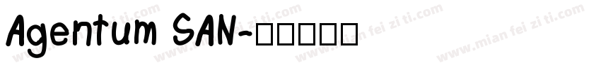 Agentum SAN字体转换